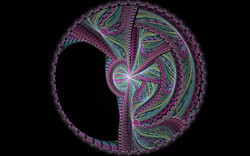 Julian Disc5-Black.jpg